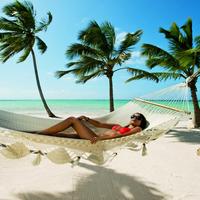 Отзыв от Алина - Visa DTV